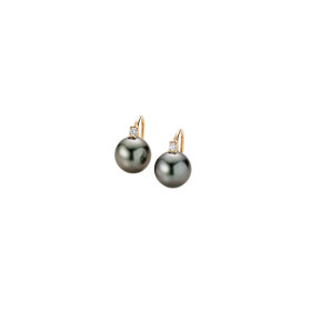         Roségold, Ohrringe, Gellner H2O Ohrhaken 5-22027-03