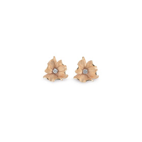         Roségold, Ohrringe, Cammilli Grace Ohrringe GOR0771J