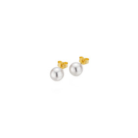         Gelbgold, Ohrringe, Gellner Basics Ohrstecker 5-23686-01