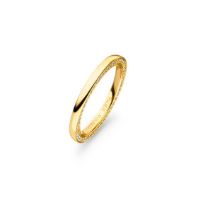         Gelbgold, Ringe, Henrich & Denzel Vorsteckring. Edler Begleiter Gb003.05000