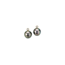         Roségold, Ohrringe, Gellner H2O Ohrstecker 5-22020-09