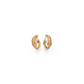         Roségold, Ohrringe, Cammilli Velaa Star Ohrringe GOR3251J