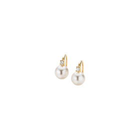         Roségold, Ohrringe, Gellner H2O Ohrhaken 5-22029-01