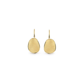         Gelbgold, Ohrringe, Cammilli Velvet Ohrringe GOR2846U