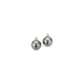         Gelbgold, Ohrringe, Gellner H2O Ohrstecker 5-22019-22