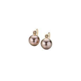         Roségold, Ohrringe, Gellner H2O Ohrhaken 5-22025-03