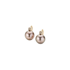         Roségold, Ohrringe, Gellner H2O Ohrhaken 5-22026-03