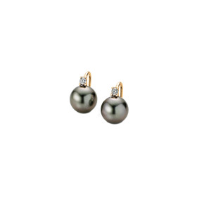        Gelbgold, Ohrringe, Gellner H2O Ohrhaken 5-22026-07
