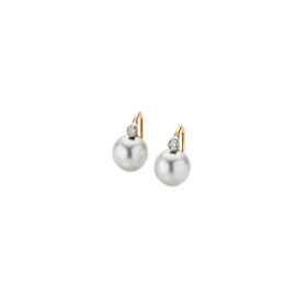         Roségold, Ohrringe, Gellner H2O Ohrhaken 5-22028-04