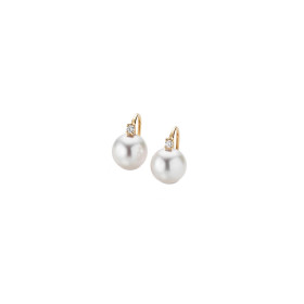         Gelbgold, Ohrringe, Gellner H2O Ohrhaken 5-22027-06