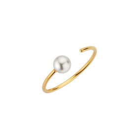         Roségold, Ringe, Gellner Delight Ring 5-23844-01