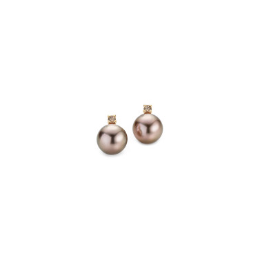         Gelbgold, Ohrringe, Gellner H2O Ohrstecker