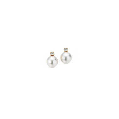         Gelbgold, Ohrringe, Gellner H2O Ohrstecker