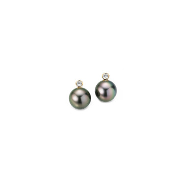         Gelbgold, Ohrringe, Gellner H2O Ohrstecker
